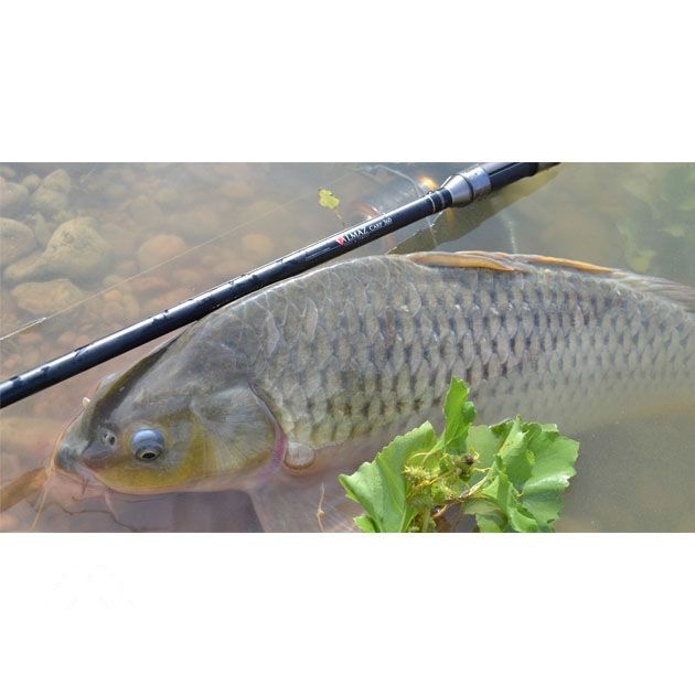 Карповое удилище Mikado ALMAZ Carp 360/3.00 lbs